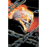 Marvel Ghost Rider #1 2nd Printing Ryan Stegman Variant Cover