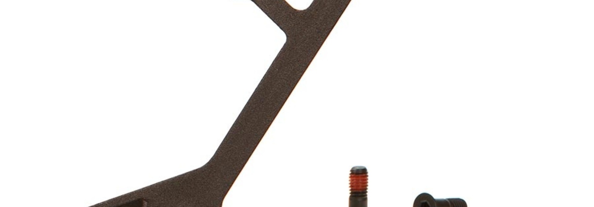 SRAM, GX Eagle (52T) Inner Cage, Lunar, 11.7518.098.001