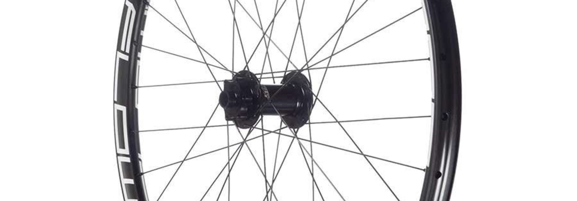 Stans No Tubes, Flow EX3, Wheel, Front, 29'' / 622, Holes: 32, 15/20mm TA, 110mm Boost, Disc IS 6-bolt