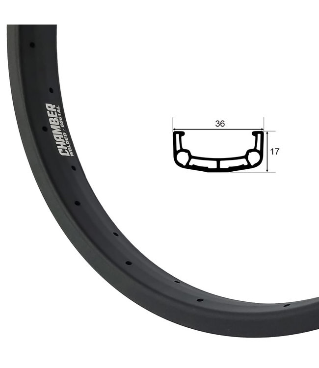 STOLEN STLNBLKES 20" CHAMBER BMX RIMS