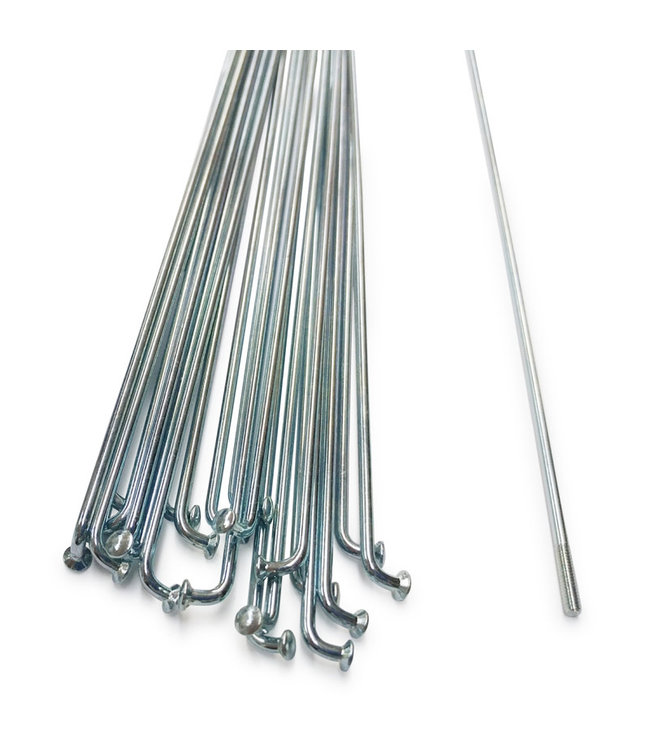 DAMCO DAMCO TAIWAN SILVER SPOKES