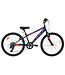 DCO SATELLITE SPORT 24 GIRL
