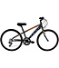 DCO SATELLITE 24 BOY