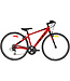 DCO ODYSSEY SPORT 24