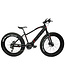 DCO REALFAT E 1000W