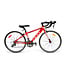DCO RACE 24