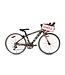 DCO RACE 24