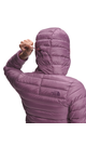 The North Face The North Face Sierra Peak Hooded Jacket W