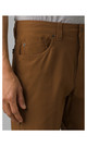 Prana Prana Brion Short II  9"