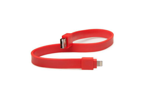 TYLT USB To Lightning Charge and Sync Cable 1foot/30cm - Red