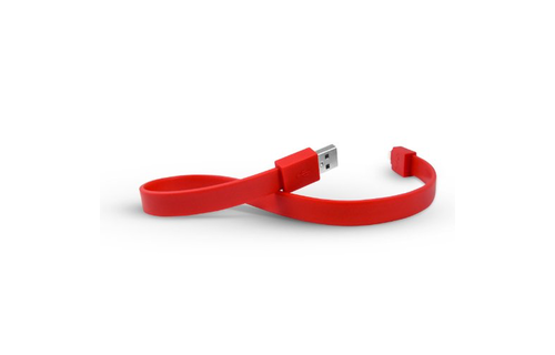 TYLT USB To Lightning Charge and Sync Cable 1foot/30cm - Red