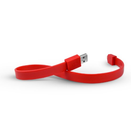 TYLT USB To Lightning Charge and Sync Cable 1foot/30cm - Red