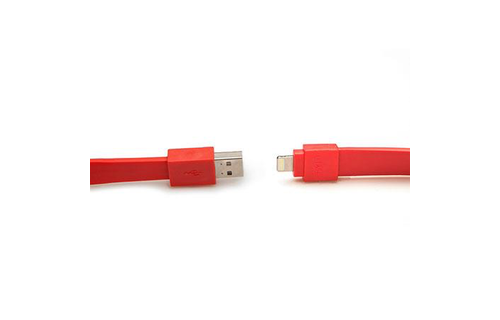 TYLT USB To Lightning Charge and Sync Cable 1foot/30cm - Red