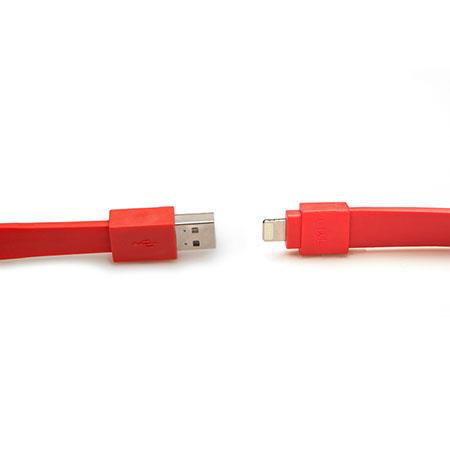 TYLT USB To Lightning Charge and Sync Cable 1foot/30cm - Red