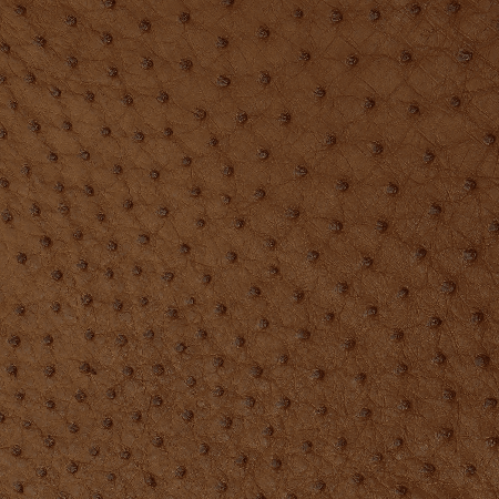 Ullu SnapOn Ostrich Leather Case For iPhone 7/8/SE - Milk Chocolate