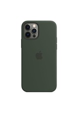 Apple Apple iPhone 12 | 12 Pro Silicone Case with MagSafe - Cyprus Green
