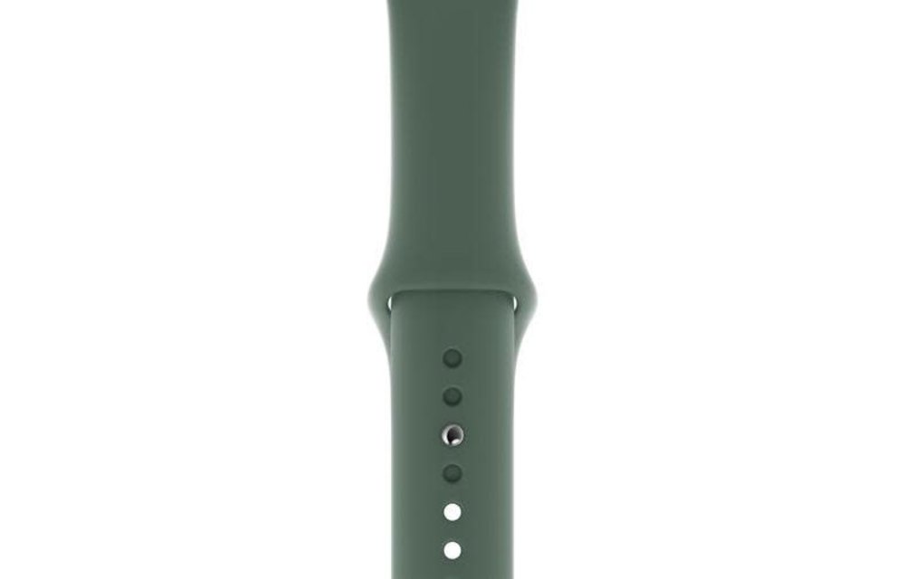 Apple Watch Sport Band Regular 42/44/45mm - Pine Green