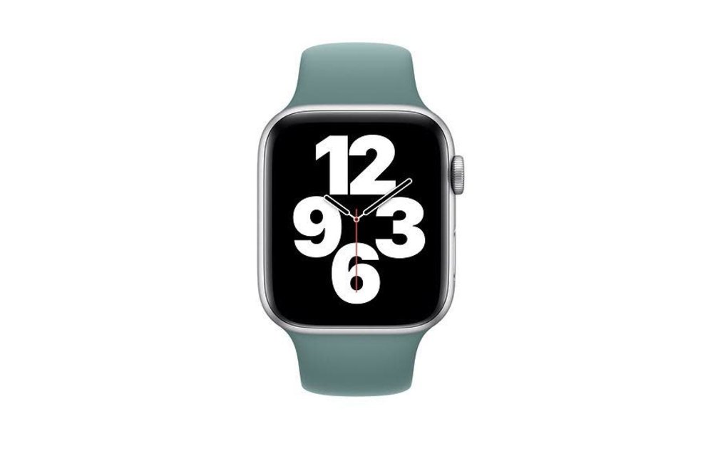 Apple Watch Sport Band Regular 42/44/45mm - Cactus