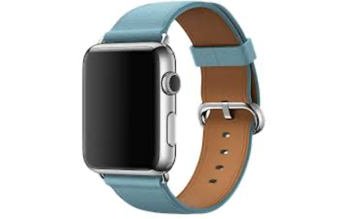 Apple Watch Classic Buckle 316L Stainless Steel Buckle  Band for Apple Watch  42mm (Also fit 44/45/46/49mm) - Blue jay Leather