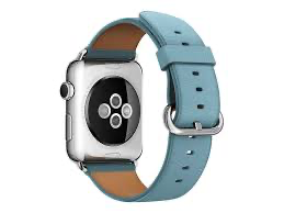 Apple Watch Classic Buckle 316L Stainless Steel Buckle  Band for Apple Watch  42mm (Also fit 44/45/46/49mm) - Blue jay Leather