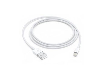 Apple Lightning to USB Cable (1m)