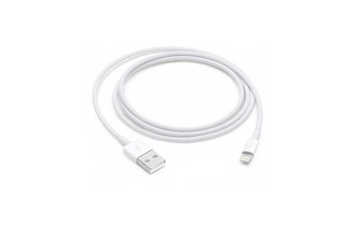 Apple Lightning to USB Cable (1m)