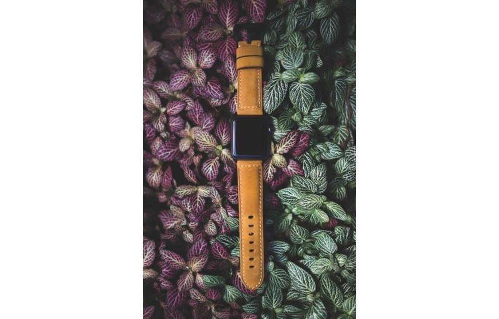 Bull Strap Genuine Bold Leather Strap for Apple Watch 38/40/41mm - Classic/Black