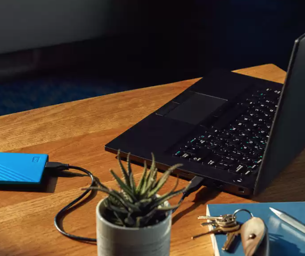 WD My Passport Portable Hard Drive 1TB