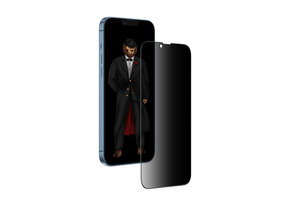 Green 3D Privacy Scratch Free Round Edge Glass Screen Protector for iPhone 13 Pro - Black