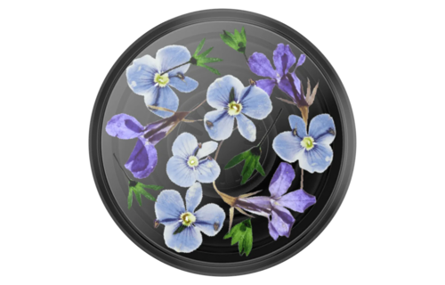 PopSockets PopGrip - Translucent Black Night Garden