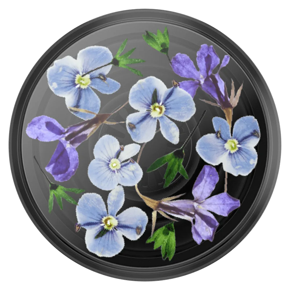 PopSockets PopGrip - Translucent Black Night Garden