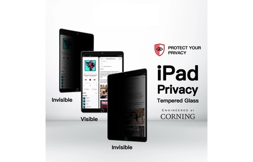 Zeelot Pure Glass Screen Protector for iPad 10.2" - Privacy