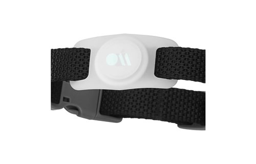 Case Mate Dog Collar Mount for Apple AirTag - Glow in the Dark