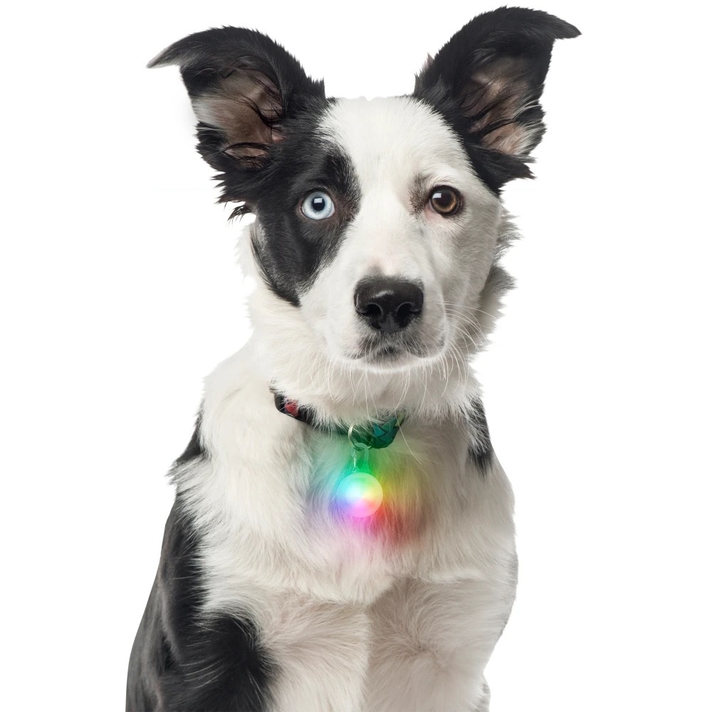 Nite Ize Spot Lit Collar Light - Disc O