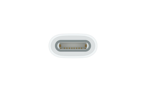 Apple USB - C to Apple Pencil Adapter