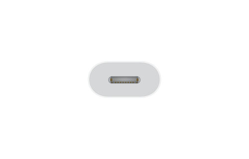 Apple USB C to Lightning Adapter