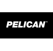 Pelican Pelican