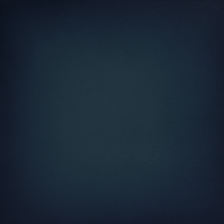 Ullu Hand Colored Premium Leather Poppy Grip and Stand Case for iPhone Xs Max - Deep Sea