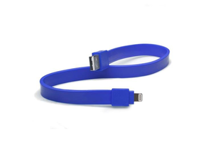 TYLT USB To  Lightning Charge and Sync Cable 1foot/30cm  - Blue
