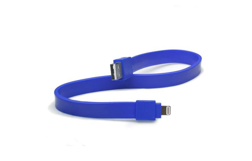 TYLT USB To  Lightning Charge and Sync Cable 1foot/30cm  - Blue