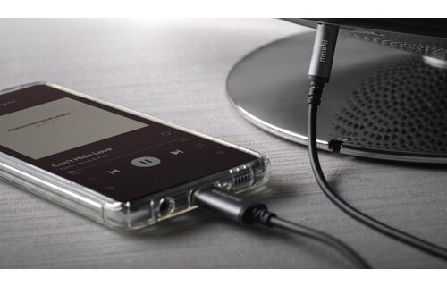 Moshi Aux 3.5mm to USB-C Cable 4ft/1.2m - Black