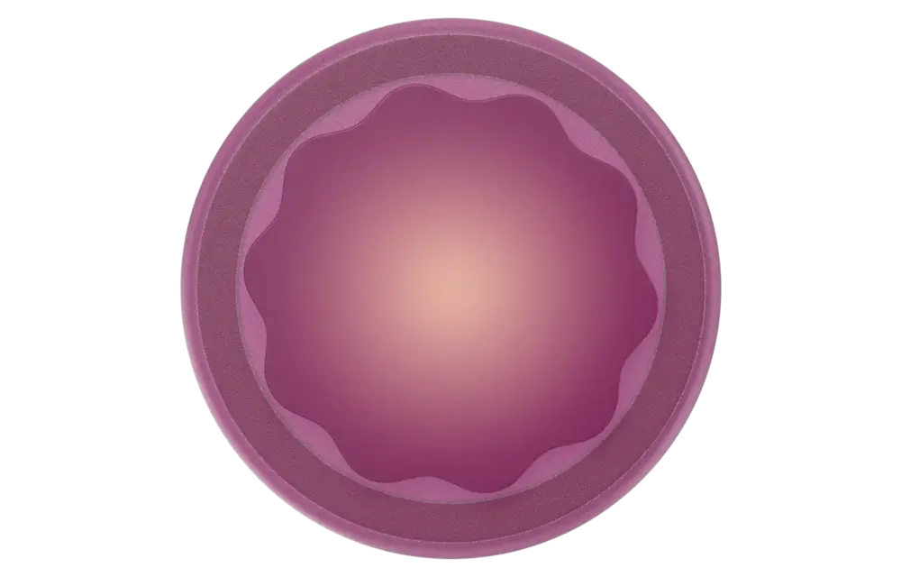 PopSockets PopGrip and Stand MagSafe Circle - Molded Flower Red Wine Translucent