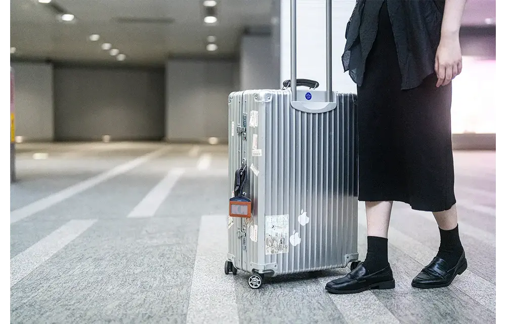 Moshi Luggage Finder Tag - Brown