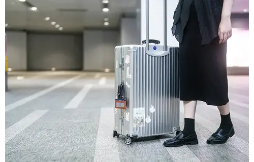 Moshi Luggage Finder Tag - Brown