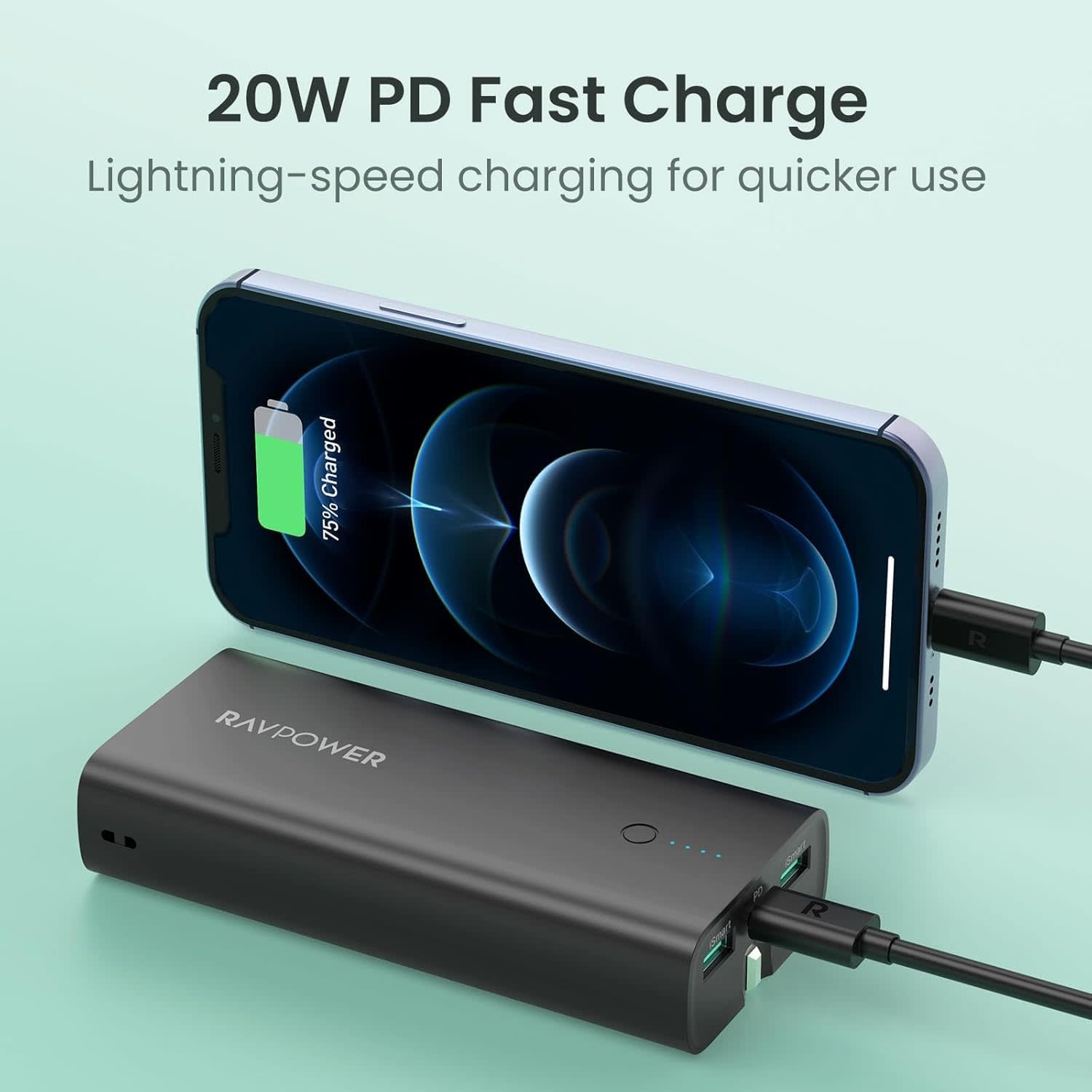 RAVPower 2 in 1 with AC Adapter Power Bank PD 20W 10000mAh  - Black