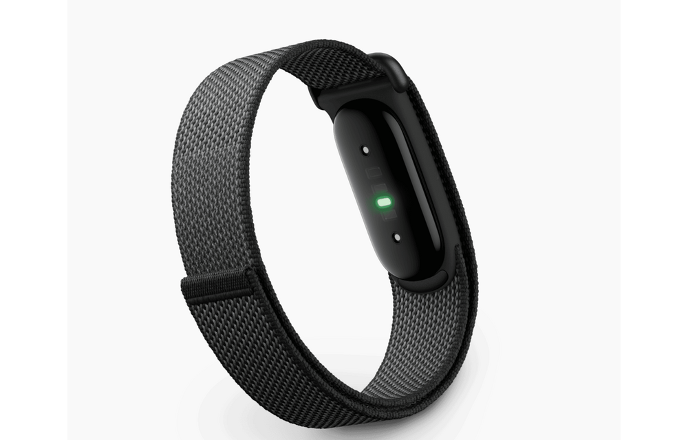 Google Fitbit Air - Obsidian