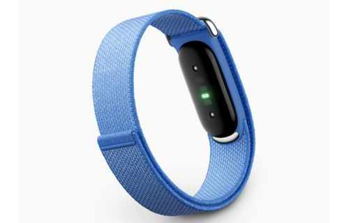 Google Fitbit Air - Lavender