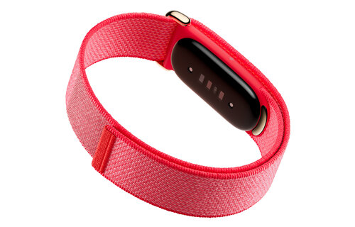 Google Fitbit Air - Berry