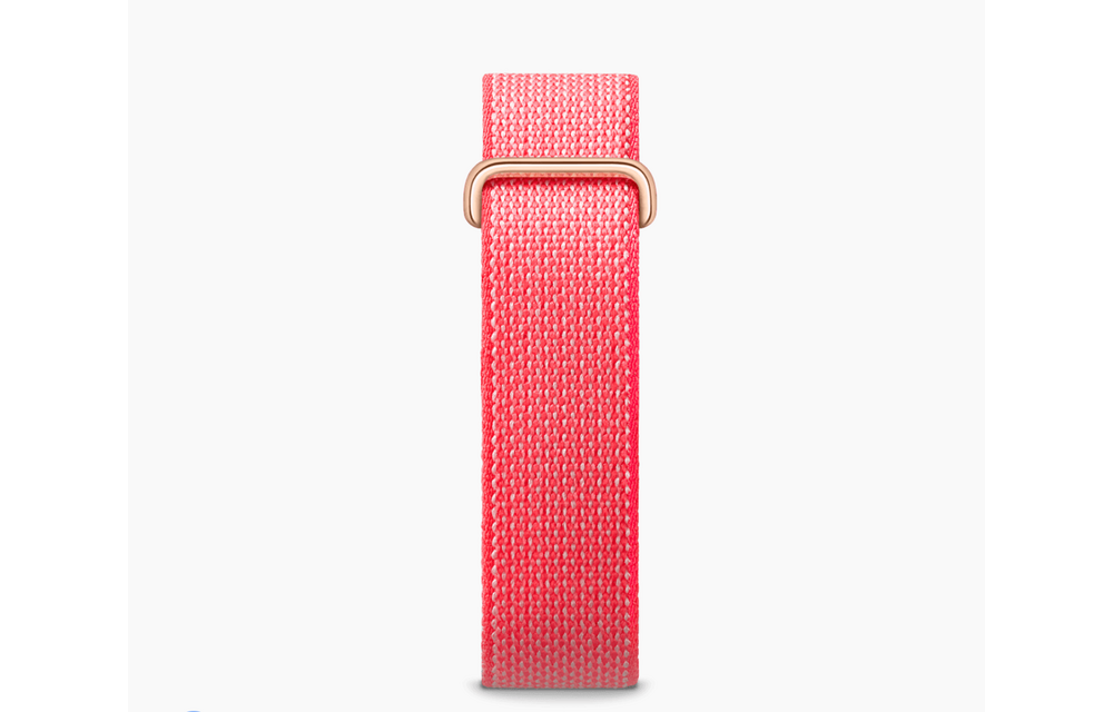 Google Fitbit Air - Berry