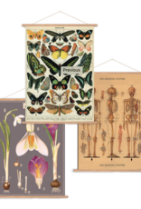 Cavallini Papers Cavallini Papers Vertical Poster Kit